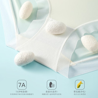 芬腾 7A抗菌聚乳酸底裆 中高腰收腹三角裤 10条装