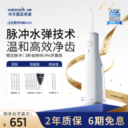 waterpik 预防牙结石 便携式电动洗牙器  4支 白