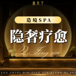 秦天下 造境SPA｜四肢+腿部放松70分钟