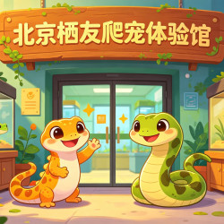 [约会必玩] 双人门票爬行动物互动体验
