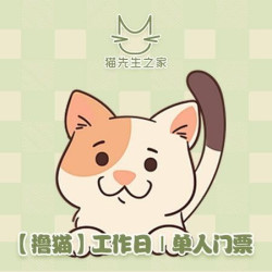 工作日｜单人一小时