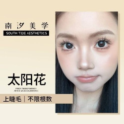 太阳花｜上睫毛｜不限根数