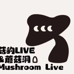 单人啤酒畅饮+送一杯shot