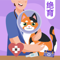 美联众合 母猫绝育-含超声刀+生化+影像+消炎止痛