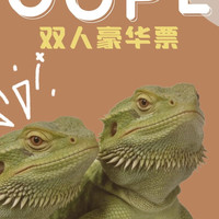 双人豪华不限时+饲料+自制饮品（大小同价）