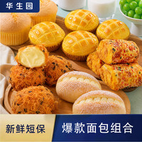 华生园 奶油椰蓉面包肉松拔丝蛋糕新鲜早餐新鲜制作整箱