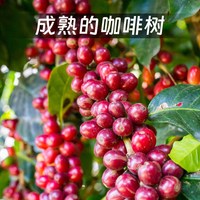 美喜啡 坦桑尼亚阿拉比卡生咖啡豆 水洗处理 500g