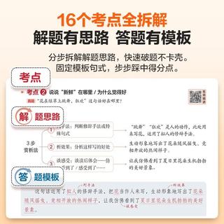 四川教育出版社 小学语文阅读理解 五年级上册 2026秋季