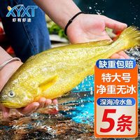 百亿补贴：虾有虾途 新鲜大黄花鱼特大深海黄花鱼一整箱海鲜冷冻黄鱼