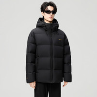 雪中飞 五折!雪中飞26春新款男士连帽简约羽绒服