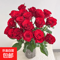 云南基地直发玫瑰鲜花全国速递配女友生日礼物家用水养插京东快递 红玫瑰18支+2支(防损)