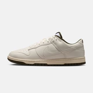 百亿补贴：NIKE 男鞋Dunk Low轻便低帮复古板鞋休闲运动鞋HF5441-011