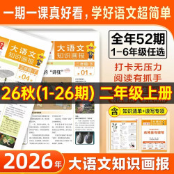 天星教育大语文知识画报2026秋新版小学快乐学习报阳光少年报纸杂志全年订阅小学生一二三年级上四五六年级