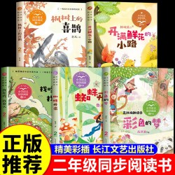 正版 全套5册找春天开满鲜花的小路蜘蛛开店枫树上的喜鹊彩色的梦