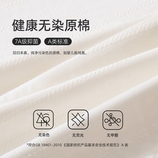 黛尔佳人 高腰收腹无痕 A类纯棉 女士内裤