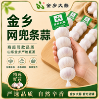 金乡大蒜 山东金乡紫皮干蒜当季新蒜精选特大果网兜包装(2条装 净重640g+)