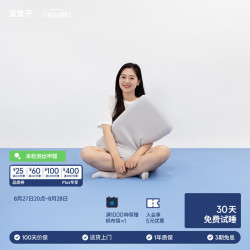 蓝盒子 M2透气版枕头记忆棉枕头成人深睡护颈枕助眠慢回弹宿舍透气 M2透气版 8cm 单只