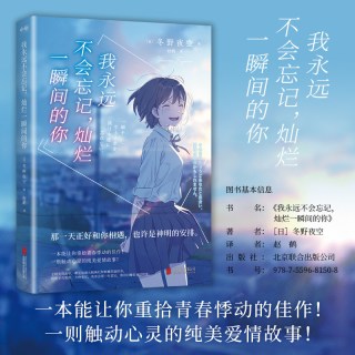 当当网 我永远不会忘记 灿烂一瞬间的你 日本青春文学冬野夜空催泪神作 赵鹤译