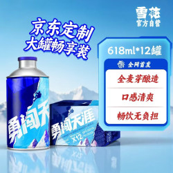 雪花 啤酒勇闯天涯新品清爽口感618ml*12罐整箱马口铁桶实惠装聚会