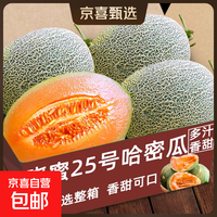 正宗哈密瓜晓蜜25号薄皮爆甜蜜瓜当季新鲜水果整箱大个甜瓜 净重4.5-5斤（2-3个）