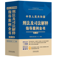 2026年4月新书 中华人民共和国刑法及司法解释指导案例全书第六版