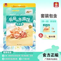 让孩子爱上科学0-9岁奇奇的水族馆第一辑海星 寄居蟹 海螺 双壳贝生物认知 亲子共读早教 科学启蒙书