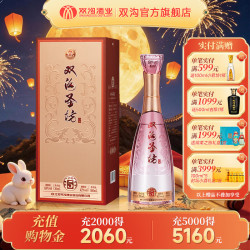 双沟 珍宝坊圣坊5白酒 42度（500mL+20mL）双沟酒厂官方店铺  42度 520mL 1瓶