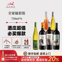 迦南美地 全家福套装宁夏红酒贺兰山东麓产区葡萄酒 750ml 6支