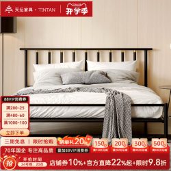 天坛家具 天坛官方新品铁艺床现代简约意式双人床加厚稳固静音铁架床铁艺床