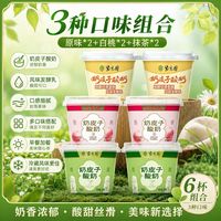 紫光园 正品白桃抹茶100g混合6杯紫光园酸奶原味奶皮子酸奶顺丰包邮直发
