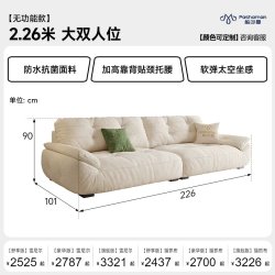 帕沙曼 政府补贴帕沙曼云朵沙发布艺客厅奶油雪尼尔可拆洗太空云沙发功能