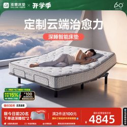 雅兰 床垫弹簧床垫抑菌卧室护脊卧室双人大床记忆棉床垫