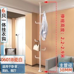友利特 顶天立地挂衣架加粗落地卧室衣帽架家用多功能置衣架一体挂包架