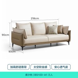 林氏办公 林氏家居科技布沙发客厅2026新款布艺直排沙发林氏木业政府补贴