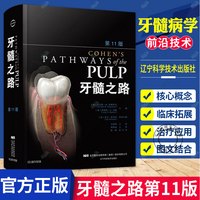 牙髓之路第11版