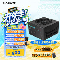 技嘉 EG750PM PG5 全模组 电源