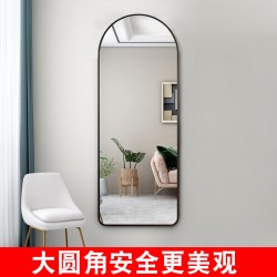乐远 网红全身镜卧室挂墙试衣镜女生穿衣镜家用立体ins风壁挂落地镜子