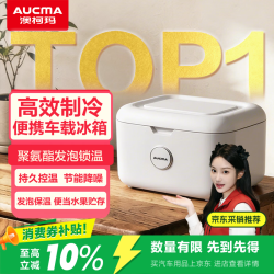 澳柯玛 车载冰箱 8L 半导体制冷款