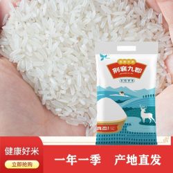 荆襄九郡 长粒香米10斤当季新米籼米晚稻大米正宗贡米油粘米猫牙米