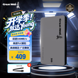 长城 读速540MB/S SSD固态硬盘  512GB