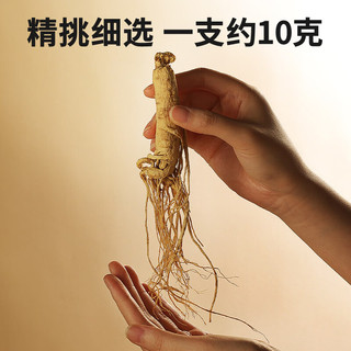 同仁堂 东北长白山园参 50g*1盒 人参