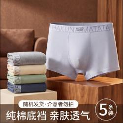 芬腾 5条装舒适透气纯棉夏季薄款新疆棉内裤男平角裤