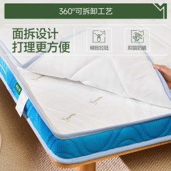 麻大师 进口S型精细黄麻棕榈儿童护脊床垫防螨榻榻米床垫子