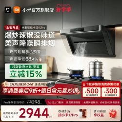 米家 P1 Pro系列 CXW-165-MJ04C 侧吸式吸油烟机 星辰银