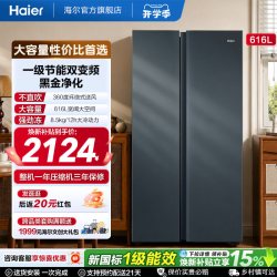 海尔 盛宴系列 风冷对开门冰箱 616L 烟青色