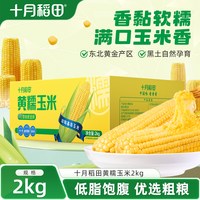 移动端、88VIP：十月稻田 黄糯玉米 1.6kg