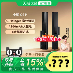 德施曼 小嘀系列 Q2P 电子锁 星爵黑