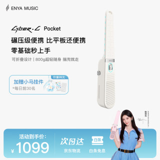 恩雅音乐 恩雅 CyberG Pocket 无弦吉他 可折叠 标准版