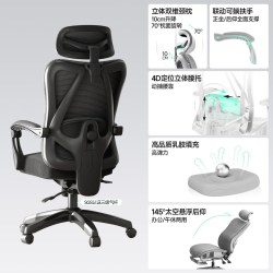 莱克－帝家 人体工学椅护腰舒适久坐电脑椅办公室椅子座椅电竞椅员工办公椅