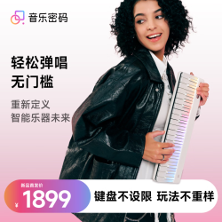 音乐密码 2自动挡弹唱钢琴智能键盘便携电子琴初学者成人儿童智能乐器 白色双键盘